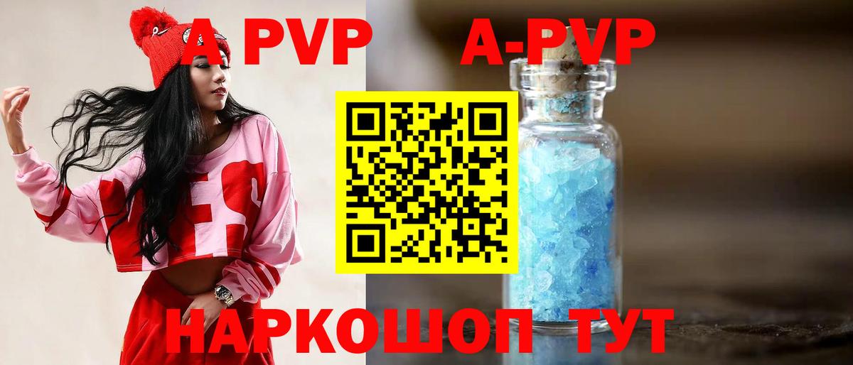 A PVP СК КРИС Алексин