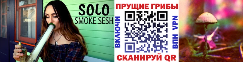 Псилоцибиновые грибы GOLDEN TEACHER Алексин