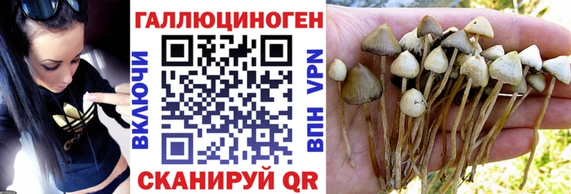 Псилоцибиновые грибы прущие грибы Алексин